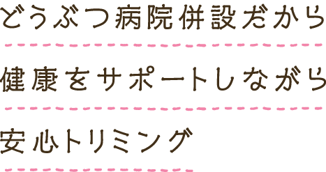 動物病院併設だから健康をサポートしながら安心トリミング