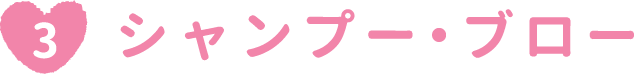 シャンプー・ブロー