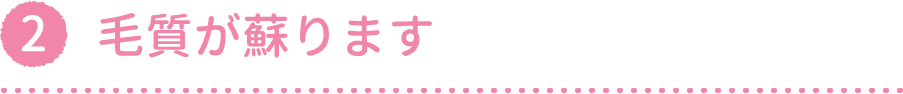 毛質が蘇ります